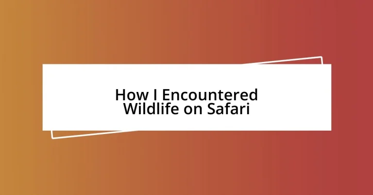 How I Encountered Wildlife on Safari