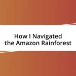 How I Navigated the Amazon Rainforest