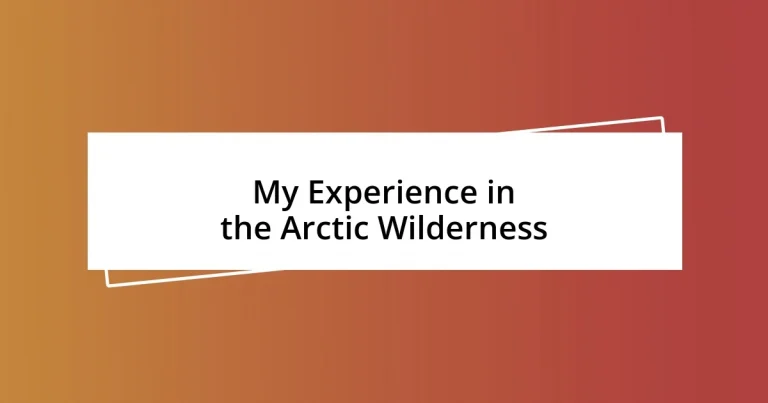 My Experience in the Arctic Wilderness