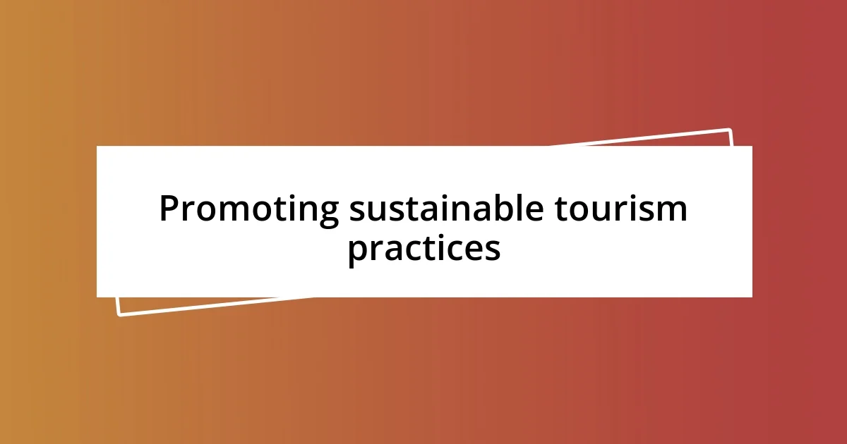 Promoting sustainable tourism practices