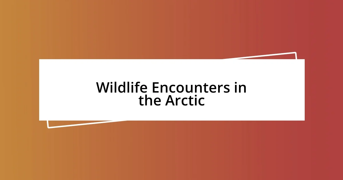 Wildlife Encounters in the Arctic