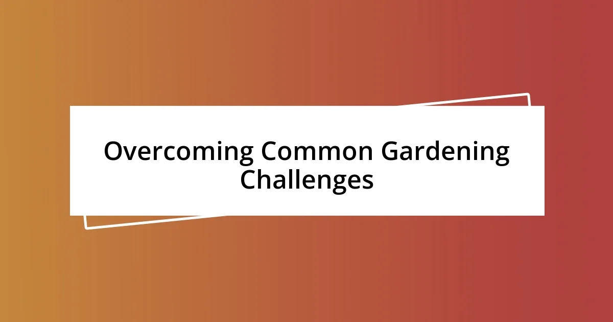 Overcoming Common Gardening Challenges