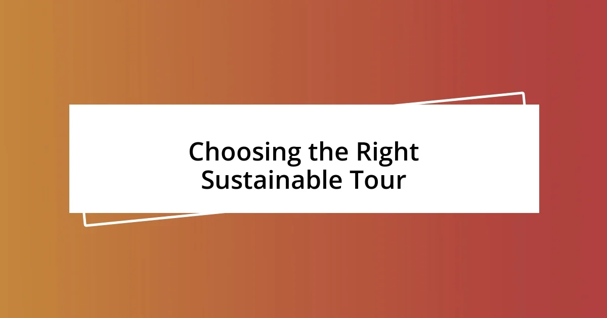 Choosing the Right Sustainable Tour