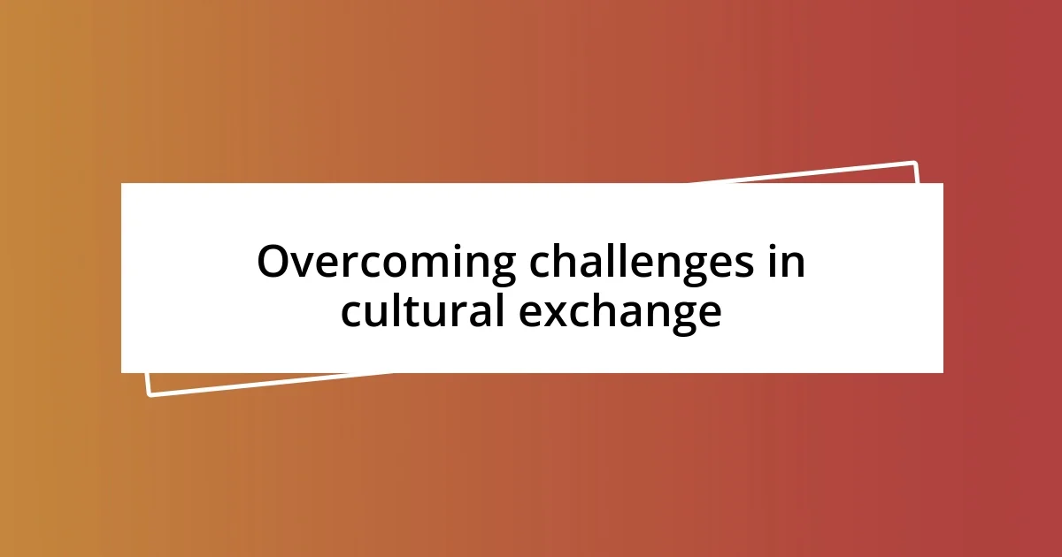 Overcoming challenges in cultural exchange